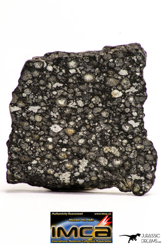 08853 - Top Rare Polished Thin Section NWA Carbonaceous Chondrite CV3 Type - 7.482 g
