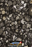 08854 - Top Rare Polished Thin Section NWA Carbonaceous Chondrite CV3 Type - 6.034 g