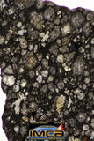 08854 - Top Rare Polished Thin Section NWA Carbonaceous Chondrite CV3 Type - 6.034 g