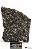 08854 - Top Rare Polished Thin Section NWA Carbonaceous Chondrite CV3 Type - 6.034 g