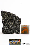 08854 - Top Rare Polished Thin Section NWA Carbonaceous Chondrite CV3 Type - 6.034 g