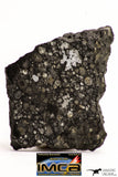 08854 - Top Rare Polished Thin Section NWA Carbonaceous Chondrite CV3 Type - 6.034 g