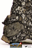 08855 - Top Rare Polished Thin Section NWA Carbonaceous Chondrite CV3 Type - 3.355 g