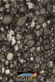 08855 - Top Rare Polished Thin Section NWA Carbonaceous Chondrite CV3 Type - 3.355 g