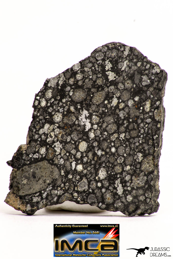 08855 - Top Rare Polished Thin Section NWA Carbonaceous Chondrite CV3 Type - 3.355 g