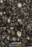 08855 - Top Rare Polished Thin Section NWA Carbonaceous Chondrite CV3 Type - 3.355 g