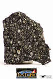 08855 - Top Rare Polished Thin Section NWA Carbonaceous Chondrite CV3 Type - 3.355 g