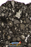 08856 - Top Rare Polished Thin Section NWA Carbonaceous Chondrite CV3 Type - 2.891 g