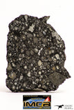 08856 - Top Rare Polished Thin Section NWA Carbonaceous Chondrite CV3 Type - 2.891 g