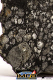 08856 - Top Rare Polished Thin Section NWA Carbonaceous Chondrite CV3 Type - 2.891 g