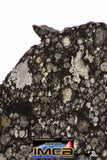 08856 - Top Rare Polished Thin Section NWA Carbonaceous Chondrite CV3 Type - 2.891 g