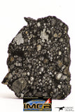 08856 - Top Rare Polished Thin Section NWA Carbonaceous Chondrite CV3 Type - 2.891 g