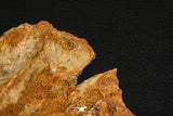 07748 - Top Rare 9.09 Inch Unidentified Dinosaur Bone Late Cretaceous Kem Kem