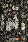08857 - Top Rare Polished Thin Section NWA Carbonaceous Chondrite CV3 Type - 3.324 g