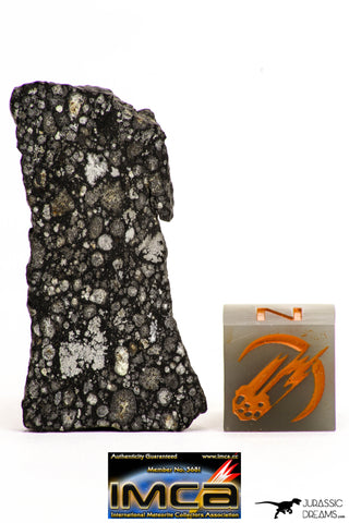08857 - Top Rare Polished Thin Section NWA Carbonaceous Chondrite CV3 Type - 3.324 g