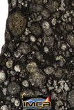 08857 - Top Rare Polished Thin Section NWA Carbonaceous Chondrite CV3 Type - 3.324 g