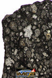 08858 - Top Rare Polished Thin Section NWA Carbonaceous Chondrite CV3 Type - 3.688 g