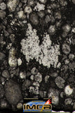 08858 - Top Rare Polished Thin Section NWA Carbonaceous Chondrite CV3 Type - 3.688 g