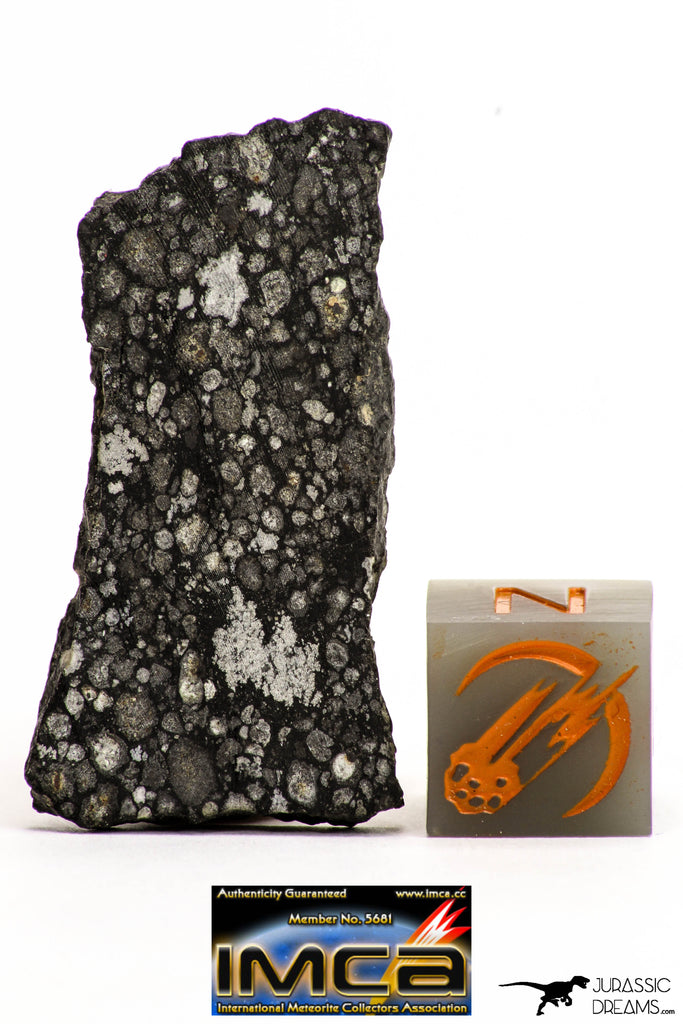 08858 - Top Rare Polished Thin Section NWA Carbonaceous Chondrite CV3 Type - 3.688 g