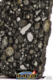 08859 - Top Rare Polished Thin Section NWA Carbonaceous Chondrite CV3 Type - 2.936 g