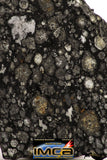 08859 - Top Rare Polished Thin Section NWA Carbonaceous Chondrite CV3 Type - 2.936 g