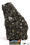 08859 - Top Rare Polished Thin Section NWA Carbonaceous Chondrite CV3 Type - 2.936 g