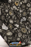 08860 - Top Rare Polished Thin Section NWA Carbonaceous Chondrite CV3 Type - 3.693 g