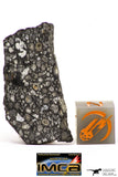 08860 - Top Rare Polished Thin Section NWA Carbonaceous Chondrite CV3 Type - 3.693 g