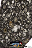08860 - Top Rare Polished Thin Section NWA Carbonaceous Chondrite CV3 Type - 3.693 g