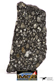 08860 - Top Rare Polished Thin Section NWA Carbonaceous Chondrite CV3 Type - 3.693 g