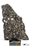 08861 - Top Rare Polished Thin Section NWA Carbonaceous Chondrite CV3 Type - 2.91 g