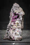 22192 - Beautiful 3.10 Inch Roselite from Bou Azzer Mines - South Morocco