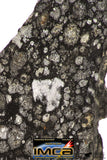 08861 - Top Rare Polished Thin Section NWA Carbonaceous Chondrite CV3 Type - 2.91 g