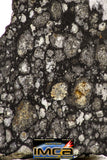 08861 - Top Rare Polished Thin Section NWA Carbonaceous Chondrite CV3 Type - 2.91 g