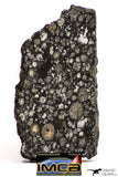 08862 - Top Rare Polished Thin Section NWA Carbonaceous Chondrite CV3 Type - 3.483 g