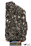 08862 - Top Rare Polished Thin Section NWA Carbonaceous Chondrite CV3 Type - 3.483 g