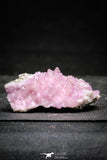 22193 - Pink Cobaltoan Calcite Crystals on Matrix - Bou Azzer Mine (South Morocco)