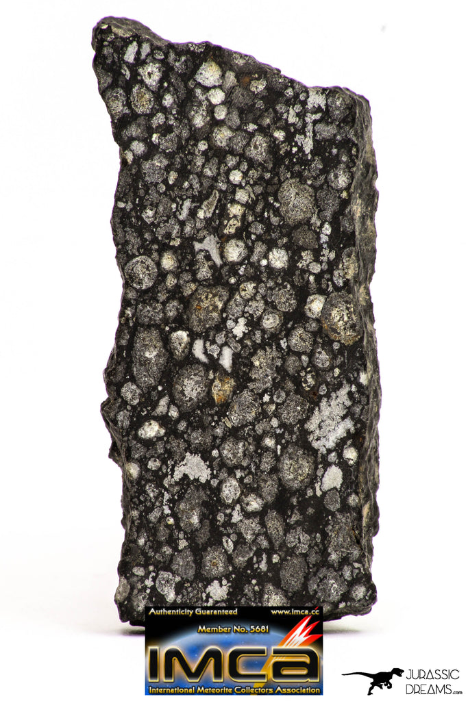 08863 - Top Rare Polished Thin Section NWA Carbonaceous Chondrite CV3 Type - 3.359 g