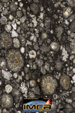 08863 - Top Rare Polished Thin Section NWA Carbonaceous Chondrite CV3 Type - 3.359 g