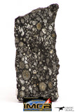 08863 - Top Rare Polished Thin Section NWA Carbonaceous Chondrite CV3 Type - 3.359 g