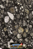 08864 - Top Rare Polished Thin Section NWA Carbonaceous Chondrite CV3 Type - 2.602 g