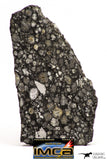 08864 - Top Rare Polished Thin Section NWA Carbonaceous Chondrite CV3 Type - 2.602 g