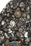08864 - Top Rare Polished Thin Section NWA Carbonaceous Chondrite CV3 Type - 2.602 g