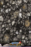 08864 - Top Rare Polished Thin Section NWA Carbonaceous Chondrite CV3 Type - 2.602 g