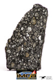 08864 - Top Rare Polished Thin Section NWA Carbonaceous Chondrite CV3 Type - 2.602 g