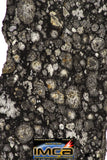 08865 - Top Rare Polished Thin Section NWA Carbonaceous Chondrite CV3 Type - 2.584 g