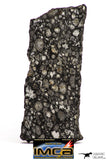 08865 - Top Rare Polished Thin Section NWA Carbonaceous Chondrite CV3 Type - 2.584 g