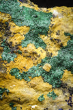 22195 - Beautiful Azurite Cristals + Malachite Cristals in Quartz Matrix - Alnif (South Morocco)