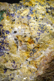 22195 - Beautiful Azurite Cristals + Malachite Cristals in Quartz Matrix - Alnif (South Morocco)