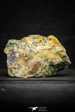 22195 - Beautiful Azurite Cristals + Malachite Cristals in Quartz Matrix - Alnif (South Morocco)